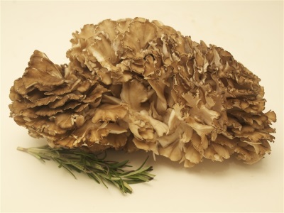  Les champignons Meytake sont très populaires dans la cuisine asiatique
