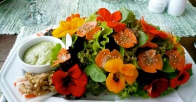  Salade de fleurs de capucine