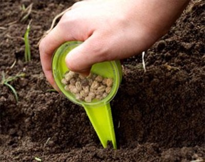  Menanam biji nasturtium di dalam tanah