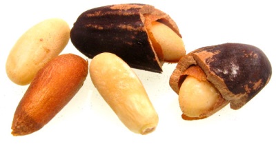  Intressanta fakta om pinje och pinjenötter