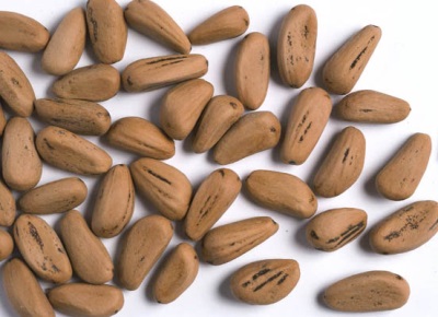  Semena pini se také používají k léčebným účelům.
