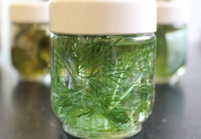  Dill infusion