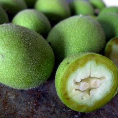 Vzhled zeleného ořechu
