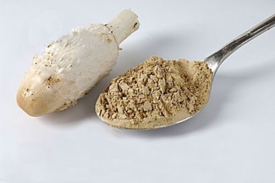  Göra pulver från svamp svampar