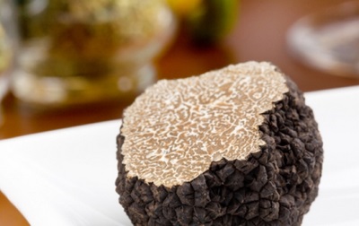  Pulpe de champignons de truffe