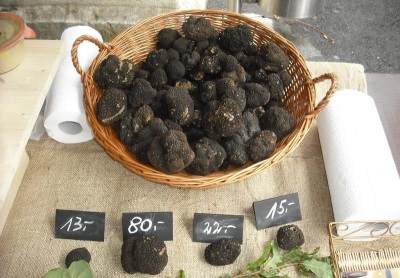  Kos cendawan truffle