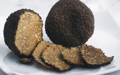  Ang mga truffles ay may kapaki-pakinabang na mga katangian para sa katawan.