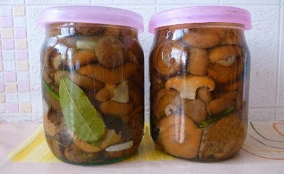  Horké solené houby