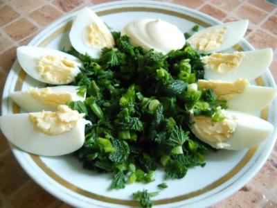  Salad tầm ma với trứng