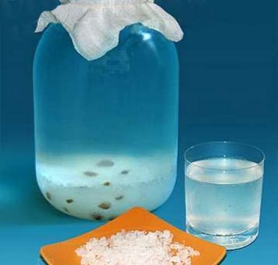  Proces zbrinjavanja morske riže