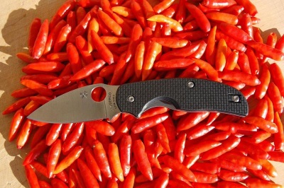  Tabasco peppers har ganske mange nyttige egenskaper.